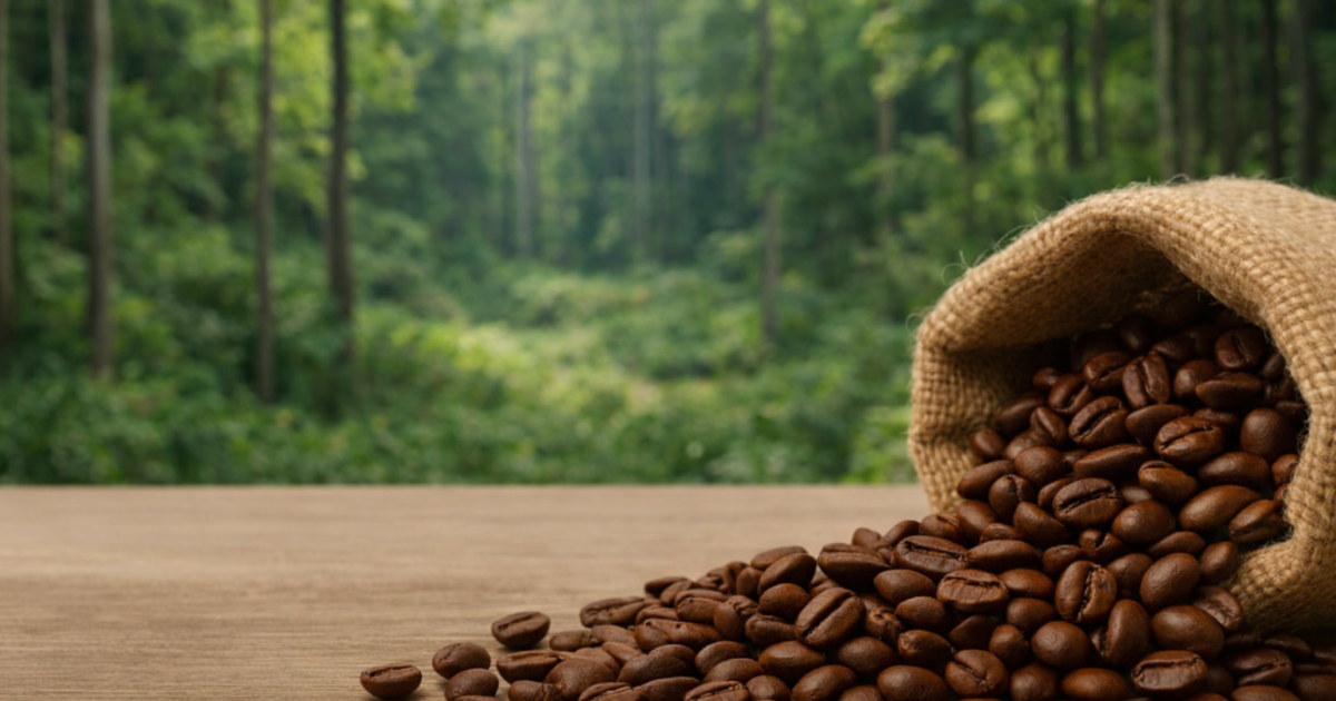 Waarom koffieprijzen stijgen door de EU-ontbossingswetgeving
