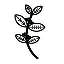 100% arabica icon